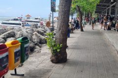 Photo5